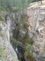 Jasper Nationalpark 