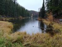 Jasper Nationalpark 