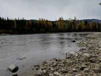 Jasper Nationalpark 