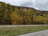 Jasper Nationalpark 