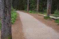 Johnston Canyon (7)