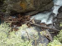 Johnston Canyon