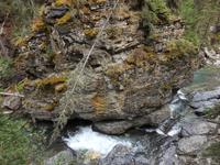 Johnston Canyon