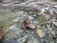 Johnston Canyon