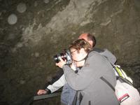 Johnston Canyon