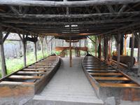 Kanus