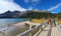 Kleine Wanderung am Bow Lake