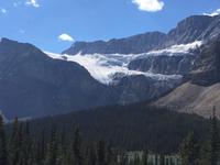Kraehenfuss Gletscher auf der Parkstrasse