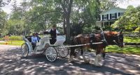Kutsche kann man hier auch fahren, Niagara on the Lake