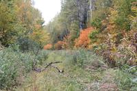 Lac Taureau 