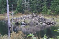 Lac Taureau