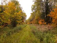 Lac Taureau