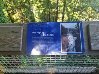 Lachs Aufzucht (4)