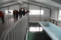 Lachsfarm in Juneau