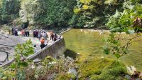 Lachszuchtstation am Capilano River bei Vancouver