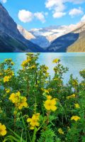 Lake Louise mit dem Victoria-Gletscher