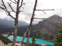 Lake Louise von obe 