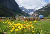 Lake Louise