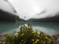 Lake Louise