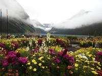 Lake Louise