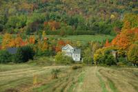 Landschaft pur