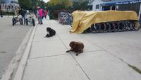 Mackinac Island