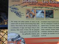 Maligne Canyon