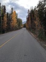 Maligne Canyon