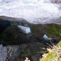 Maligne Canyon