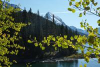 Maligne Lake