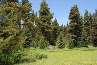 Maligne Lake