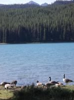Maligne Lake