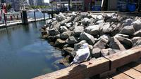 Mittagspause auf Granville Island in Vancouver