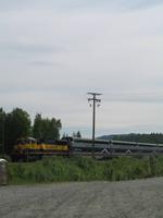 Mittagspause in Talkeetna