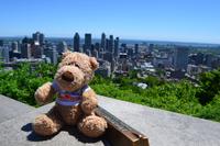 Montréal - Blick vom Mont Royal auf das Stadtzentrum