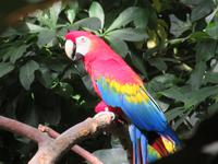 Montreal Biodome