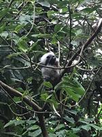 Montreal Biodome