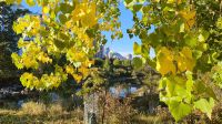 Morgenspaziergang am Bow River in Calgary