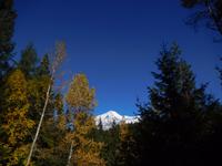 Mount Robson