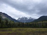 Mt. Robson