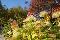 Natur pur