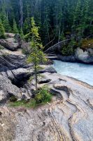 Natural Bridge (9)