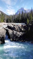 Natural Bridge