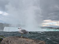 Niagara Fälle