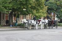 Niagara on the Lake