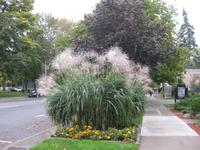 Niagara-on-the-Lake
