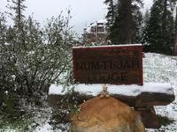 Num-Ti-Jah-Lodge am Bow Lake