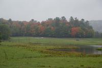 Omega Park (10)