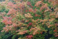 Omega Park (12)
