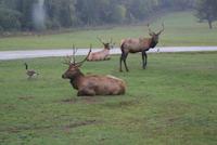 Omega Park (8)